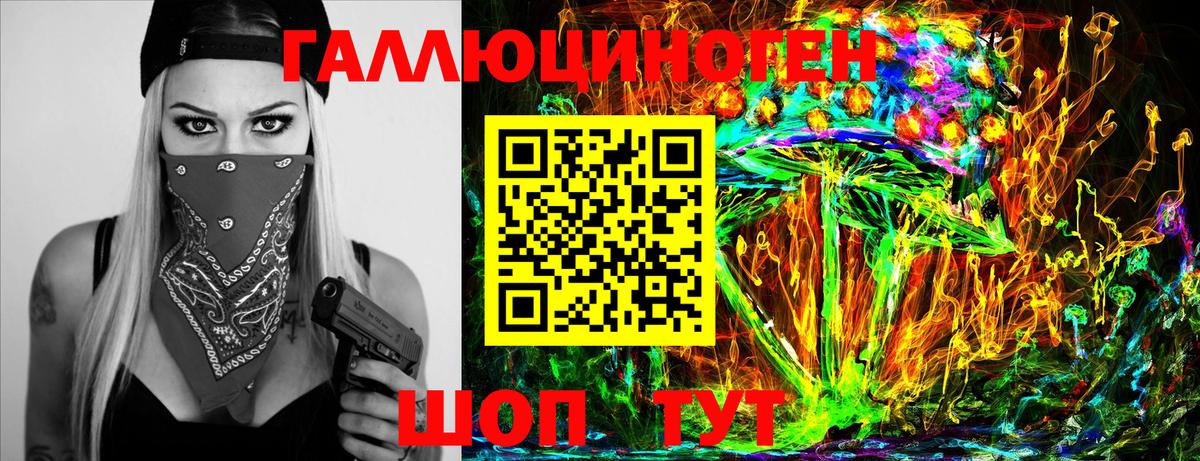 Новозыбков  Псилоцибиновые грибы Psilocybine cubensis  Вход с VPN 